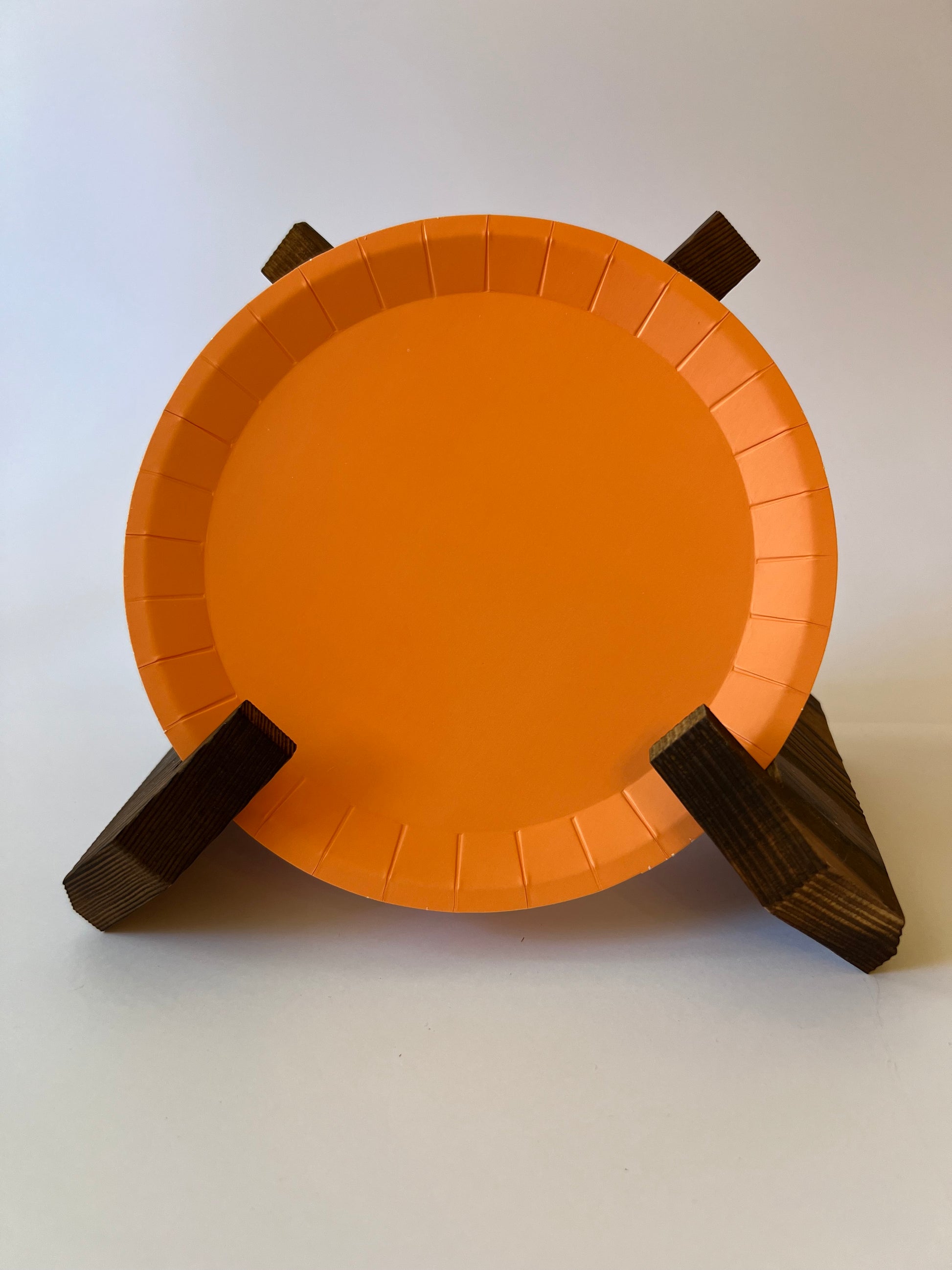 x24 Orange Plates - Winterberries