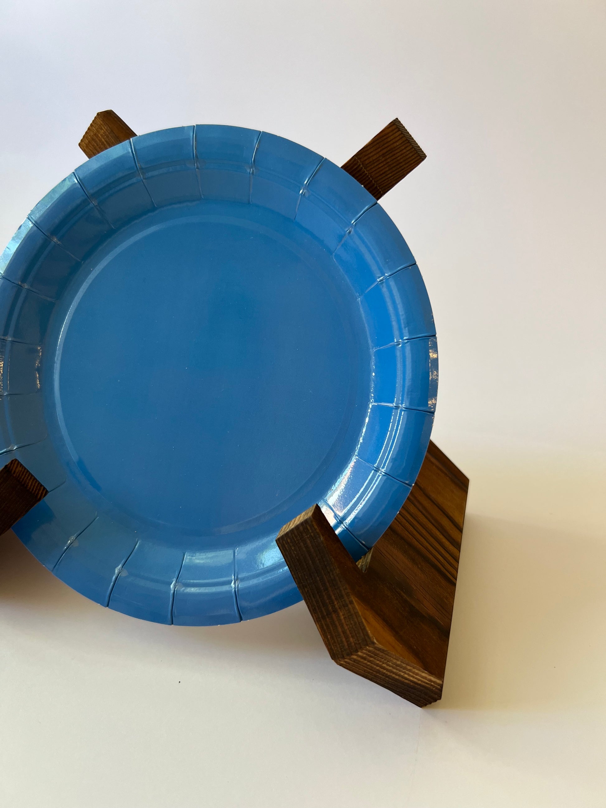 x24 Blue Plates - Winterberries