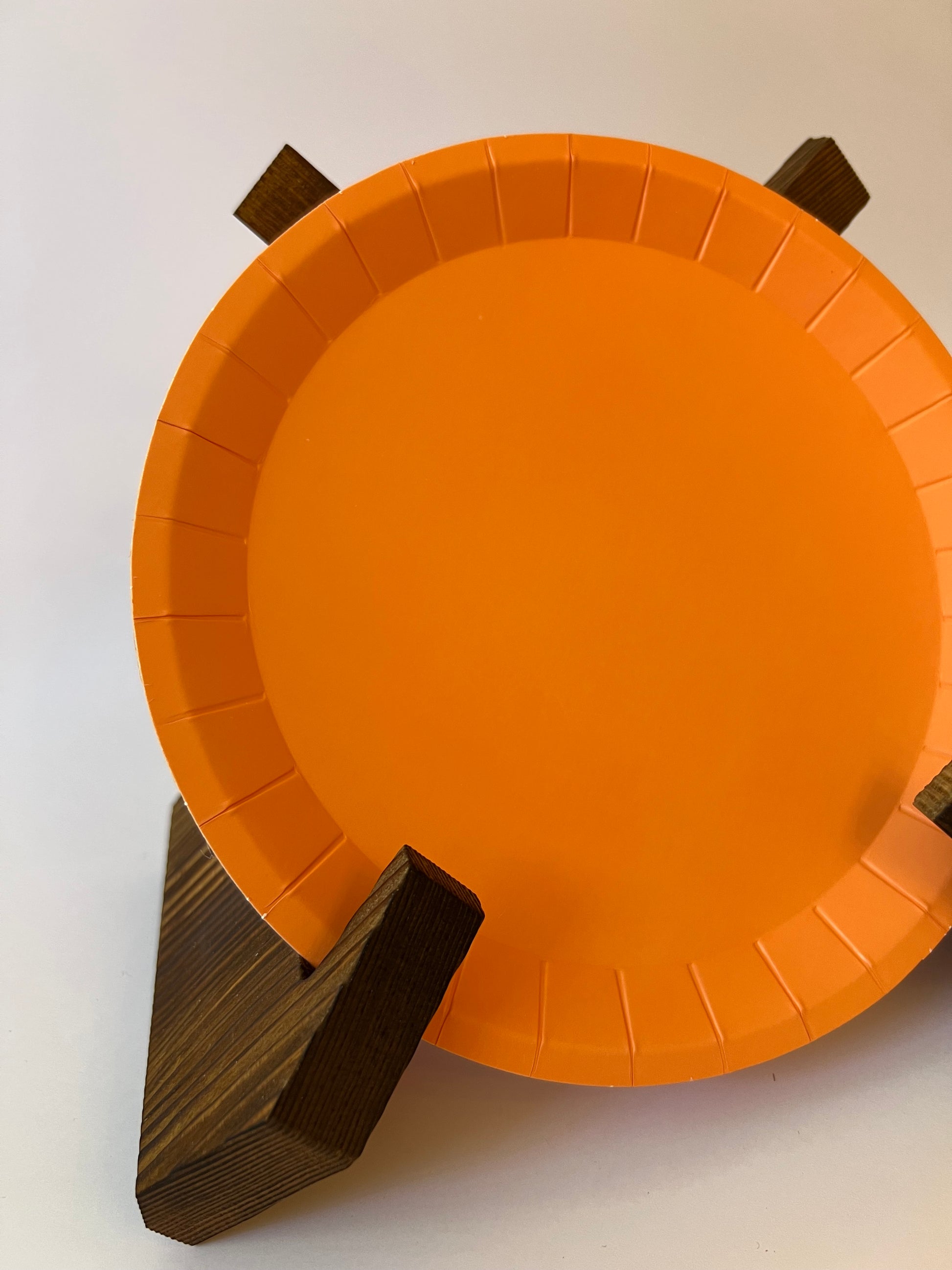 x24 Orange Plates - Winterberries