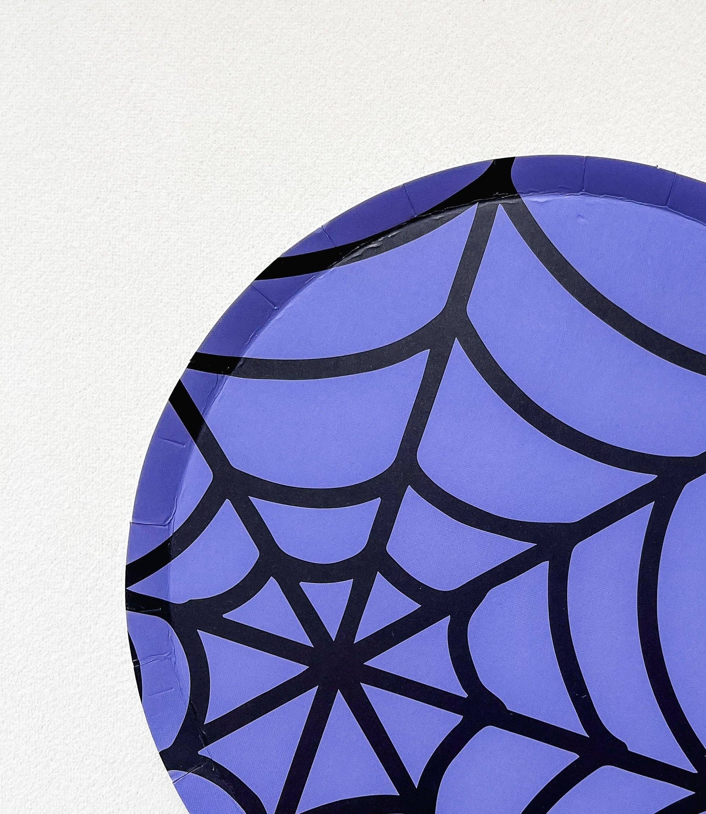 x8 SMALL SPIDER WEB PAPER PLATE - Winterberries
