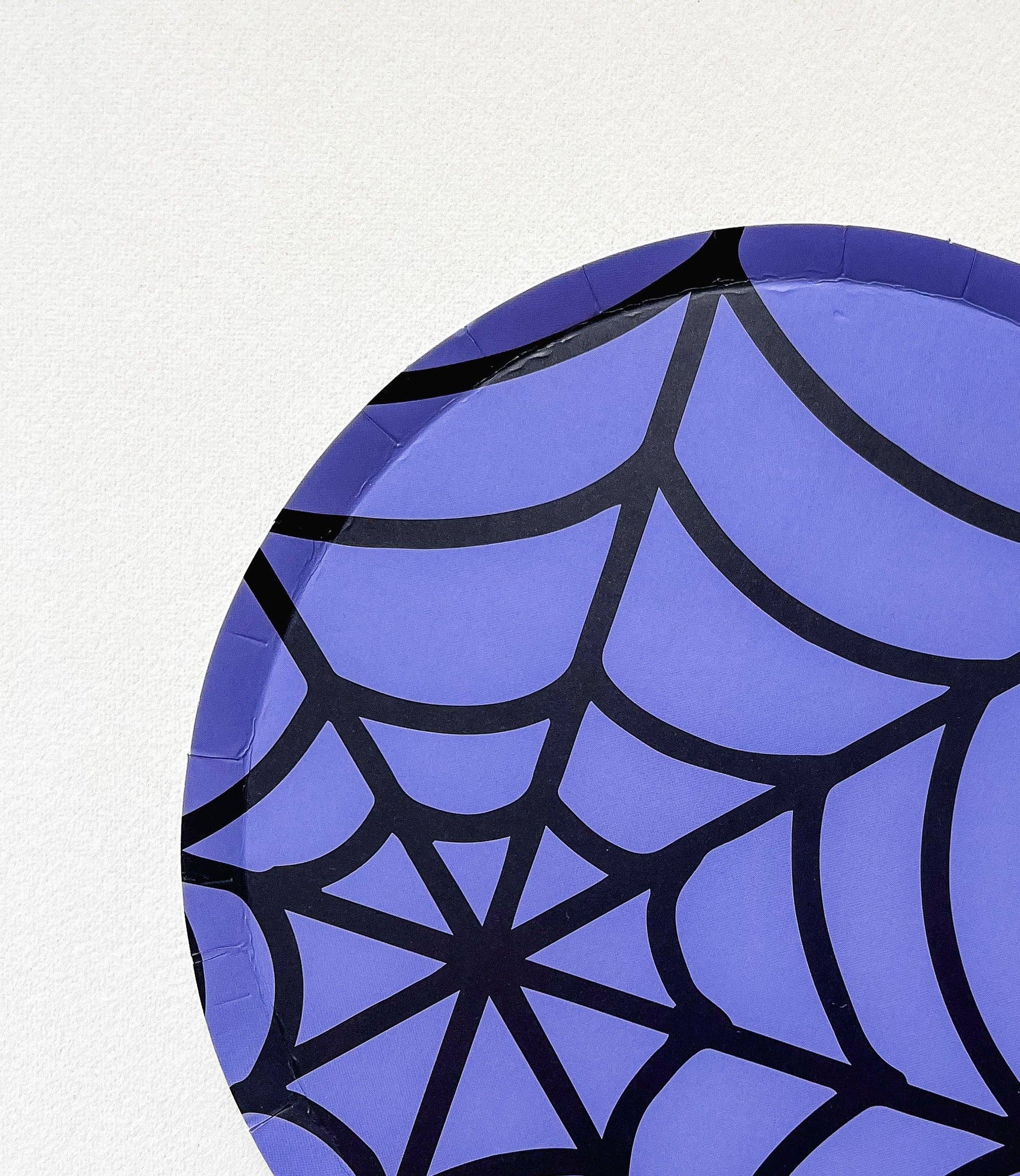 x8 SMALL SPIDER WEB PAPER PLATE - Winterberries