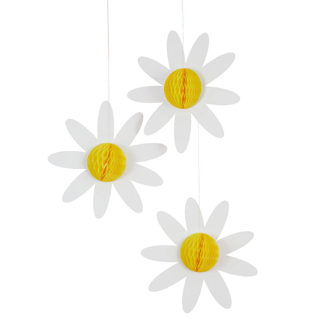 Daisy Honeycomb 3 Pack - Winterberries