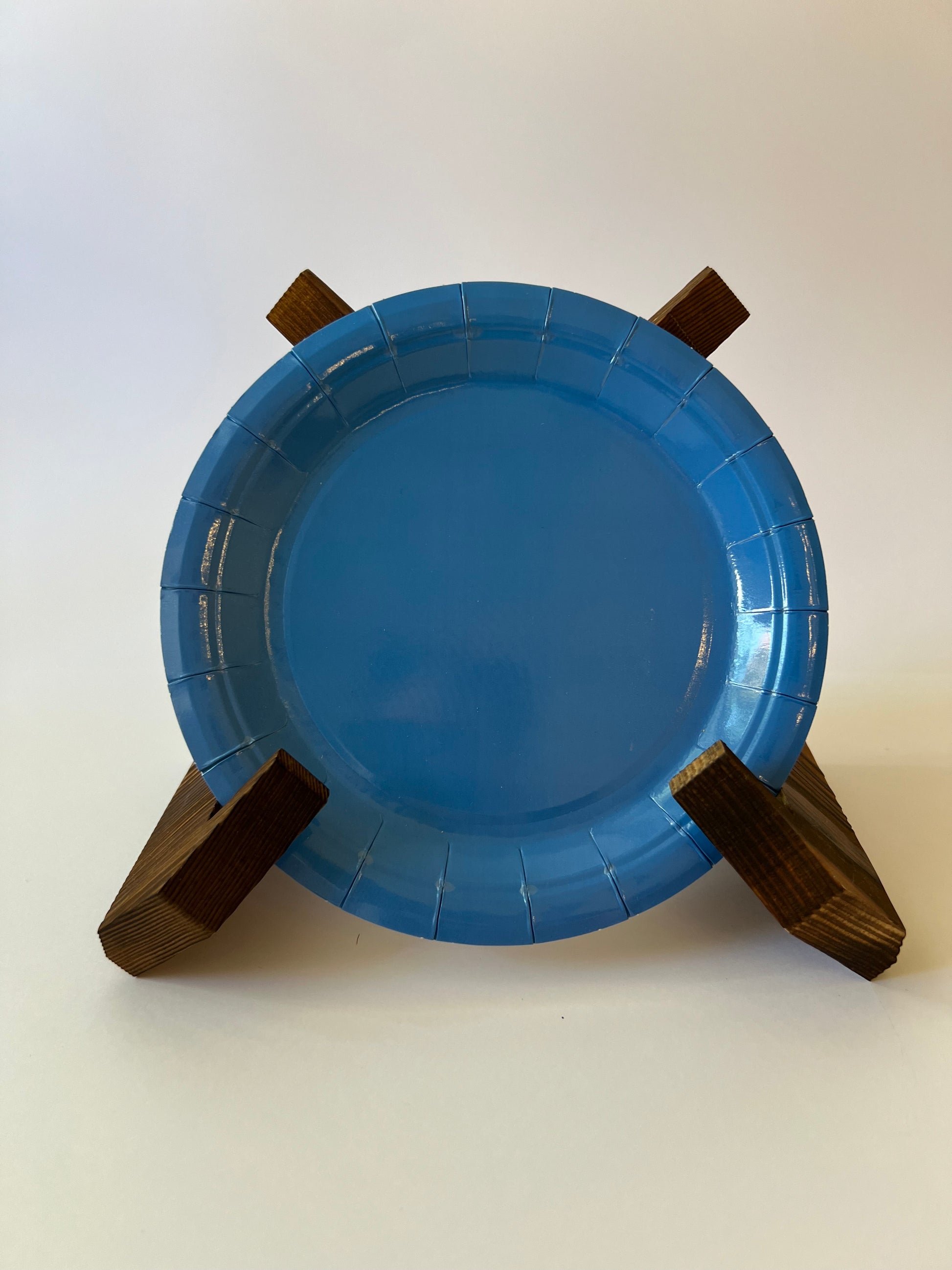 x24 Blue Plates - Winterberries