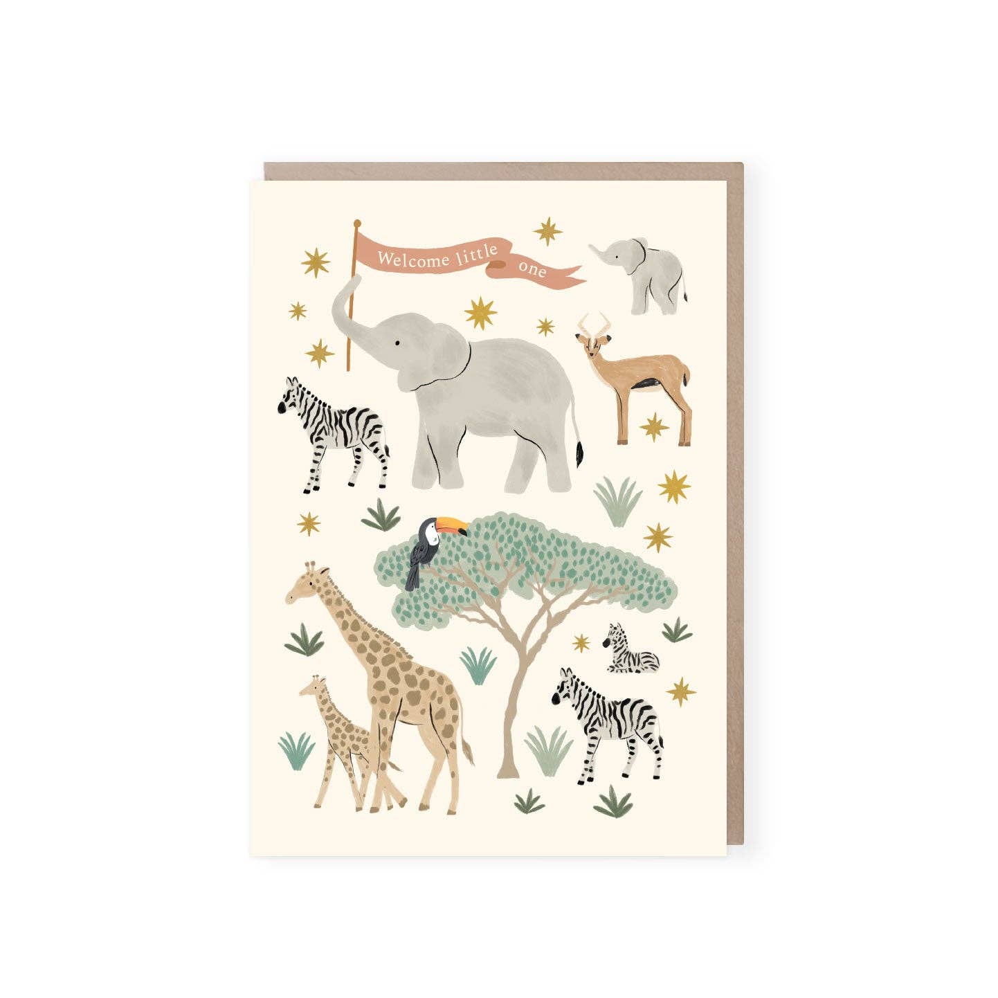 New Baby Card - Winterberries