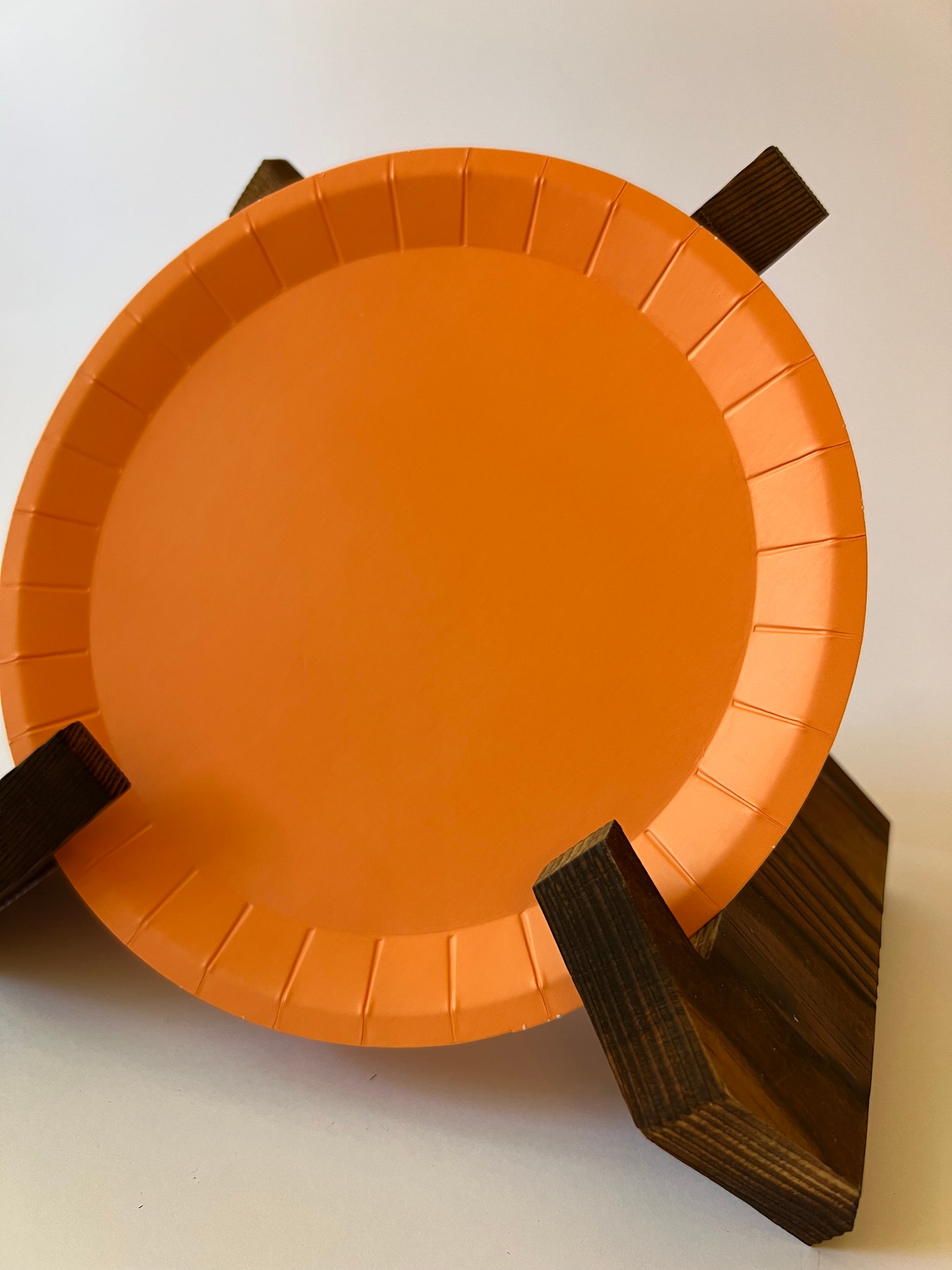 x24 Orange Plates - Winterberries