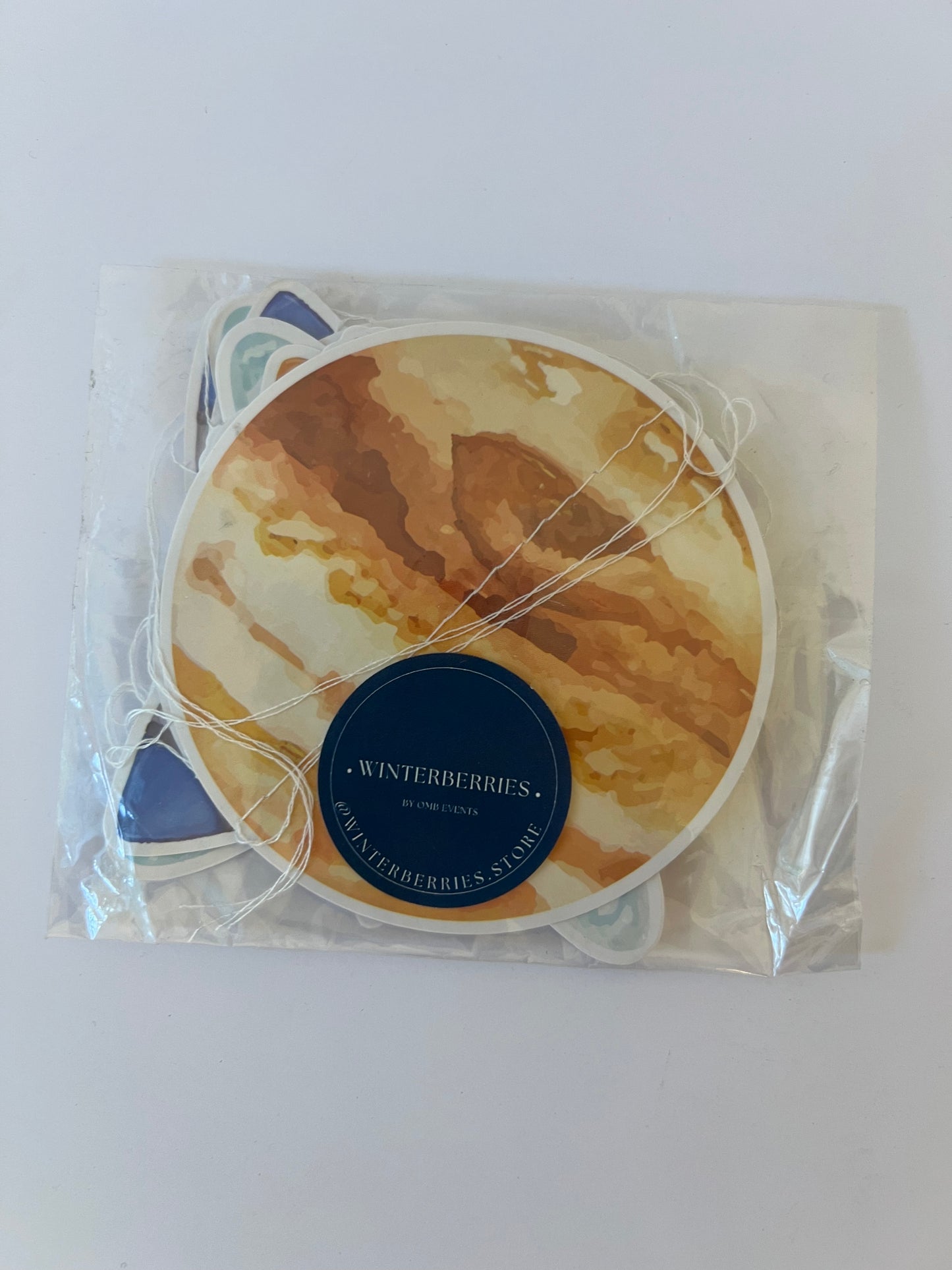 x1 Planet Hanging Pendant - Winterberries