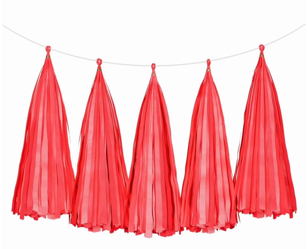 TISSUE PAPER TASSELS GARLAND - Winterberries