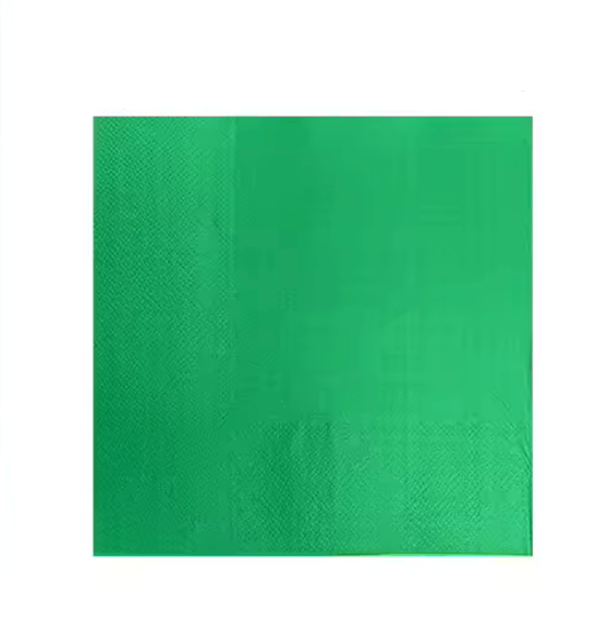 x24 GREEN PAPER NAPKINS - Winterberries