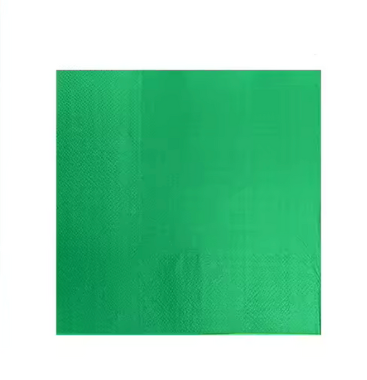 x24 GREEN PAPER NAPKINS - Winterberries