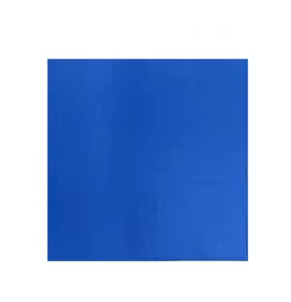 x24 NAVY BLUE PAPER NAPKINS - Winterberries