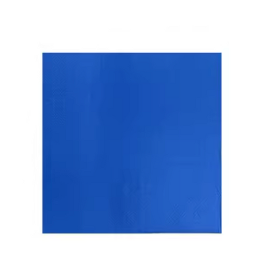 x24 NAVY BLUE PAPER NAPKINS - Winterberries