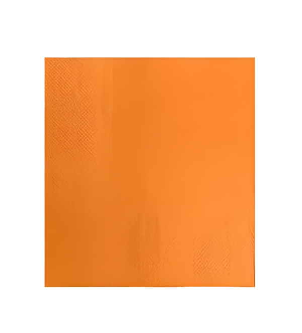 x24 ORANGE PAPER NAPKINS - Winterberries