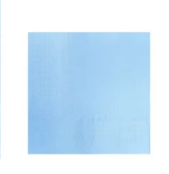 x24 PASTEL BLUE PAPER NAPKINS - Winterberries