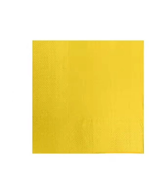 x24 YELLOW PAPER NAPKINS - Winterberries