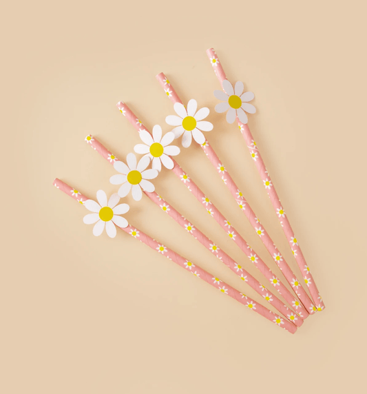 x10 Daisy Straws - Winterberries