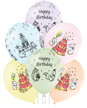 6x Pastel Cute HB Balloons - Winterberries