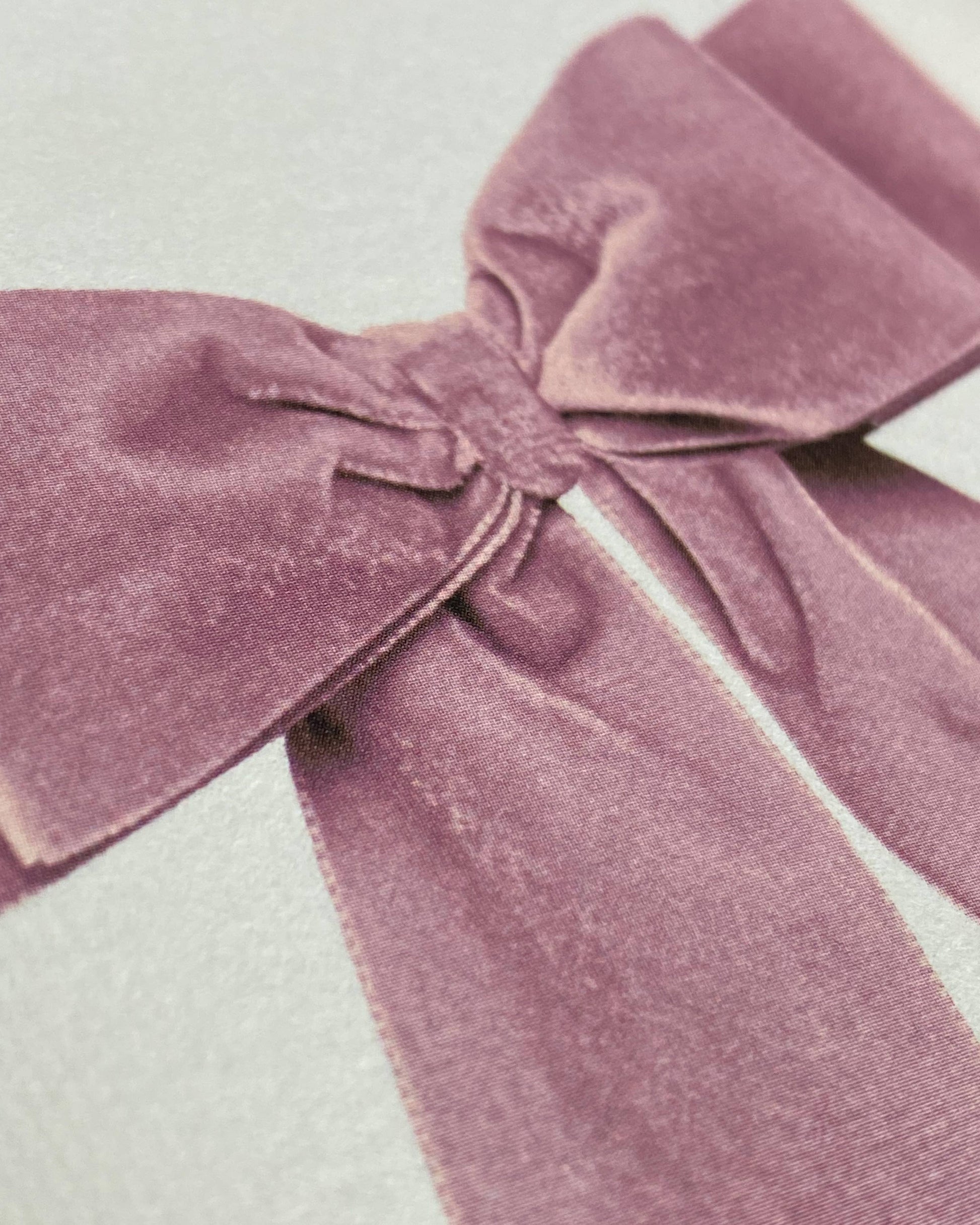 Baby Pink Velvet Bow Greeting Card - Winterberries