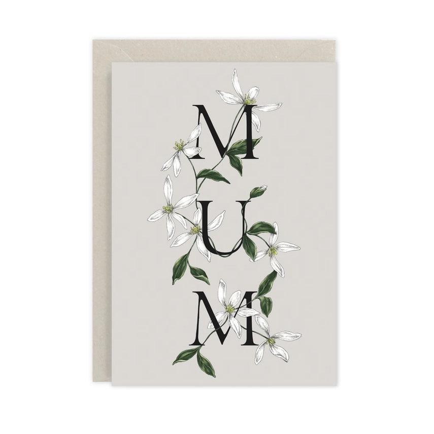 Spring Blossom - Mum - Winterberries