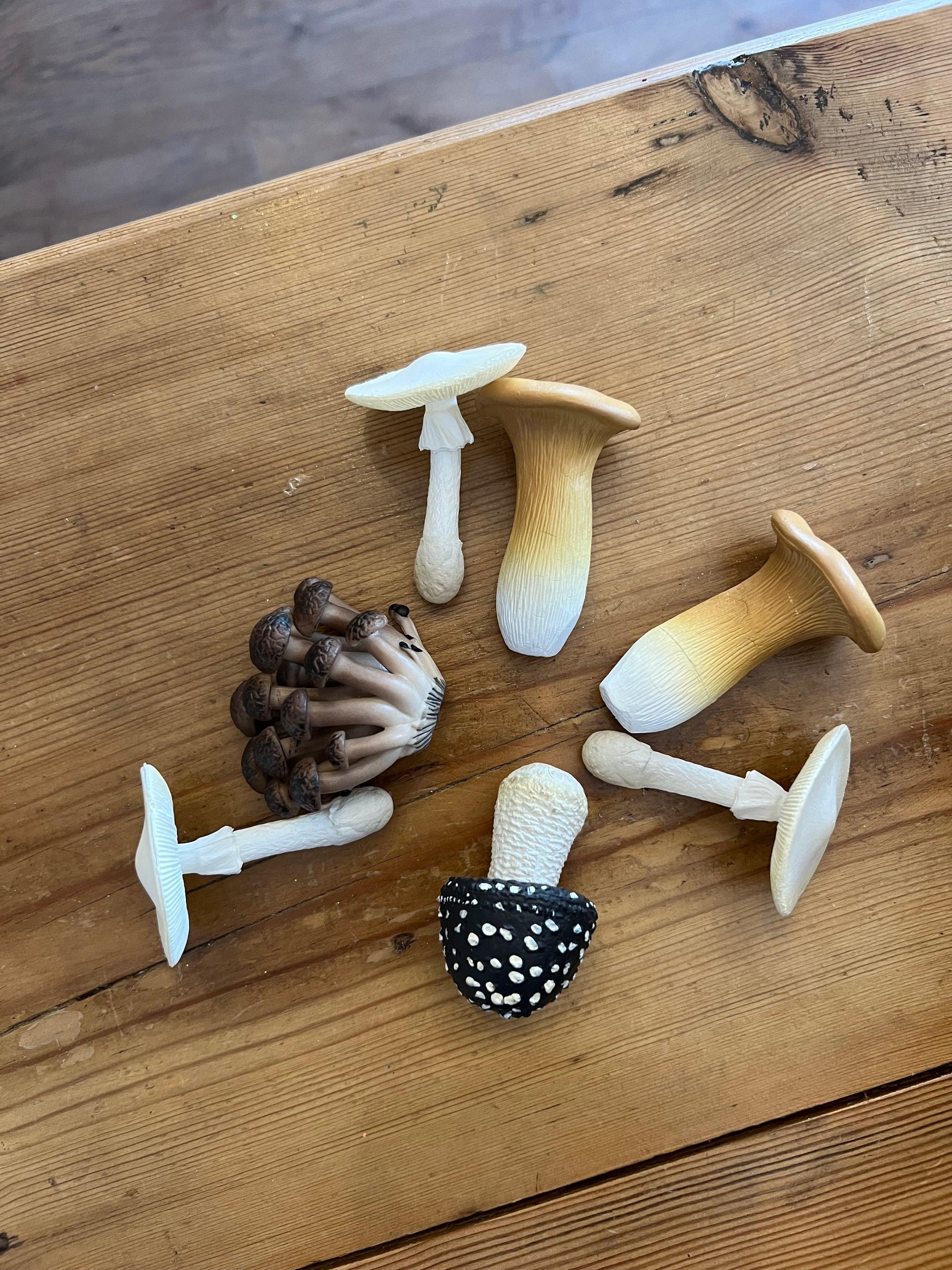 Mini plastic mushrooms - Winterberries