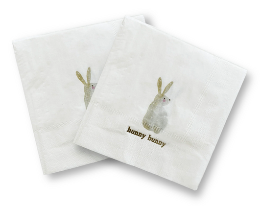 x16 'HUNNY BUNNY' COCKTAIL PAPER NAPKINS - Winterberries