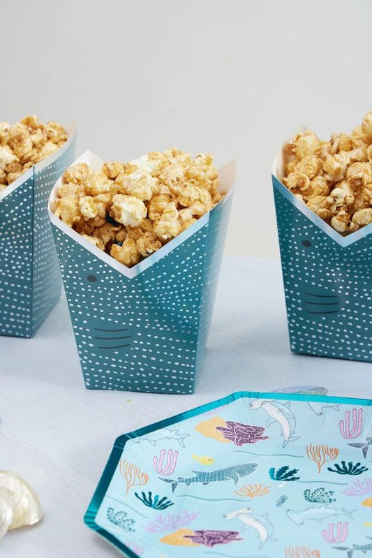 x12 Whale Shark Boxes - Winterberries