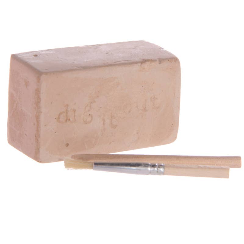 DINOSAUR DIG IT OUT KIT - Winterberries