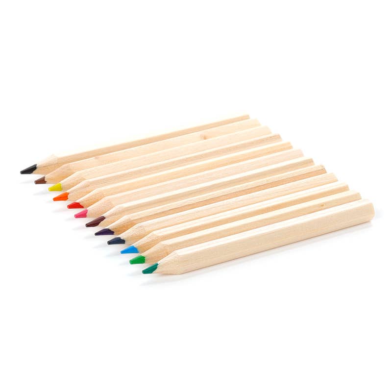Unicorn Magic Pencil Pot with 12 Colouring Pencils - Winterberries