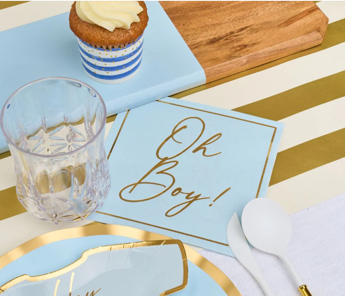x20 PASTEL BLUE 'OH BOY' PAPER NAPKINS - Winterberries