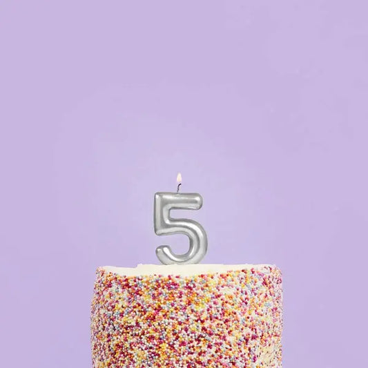 Silver Number '5' Candle - Winterberries