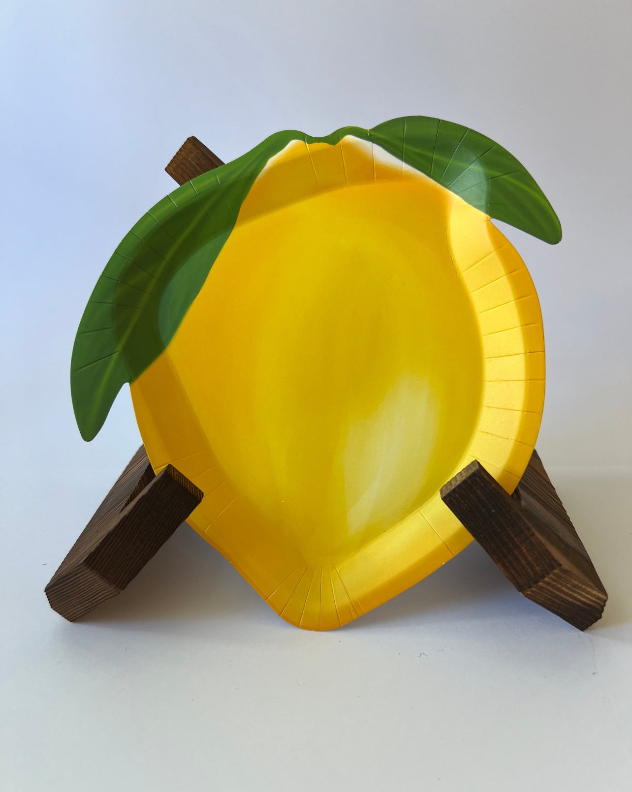 Summer Party Accessories
