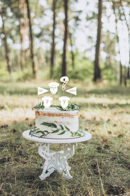 x6 GENDER REVEAL CAKE TOPPERS - Winterberries