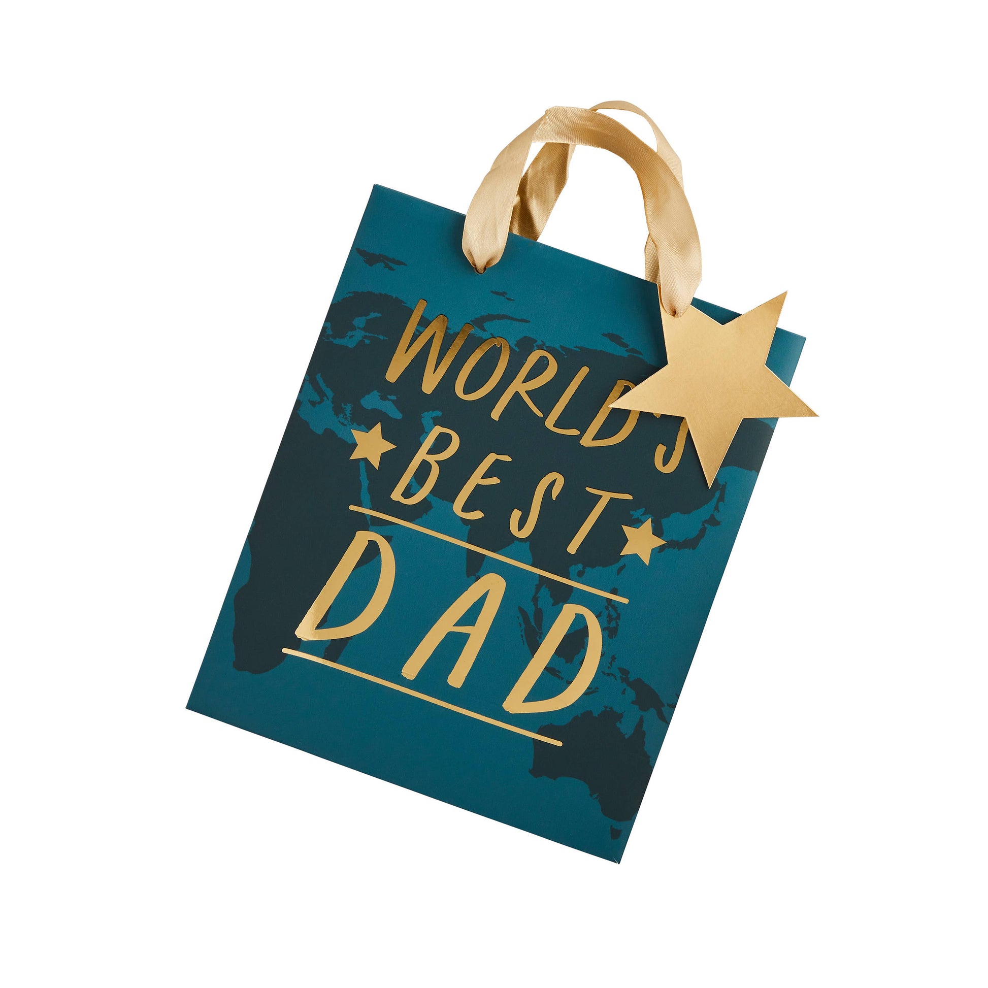 World's Best Dad Gift Bag 1 Pack - Winterberries