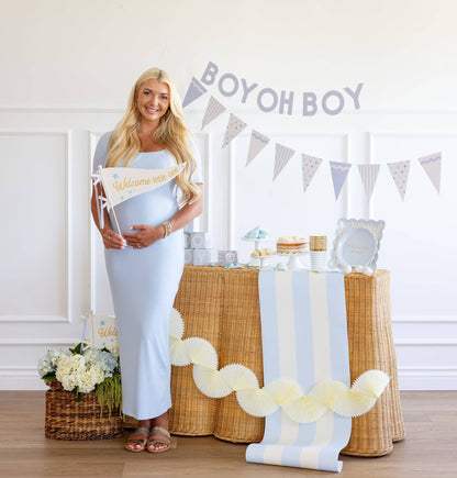 BAB1116 - Welcome Little One Blue Pennant - Winterberries