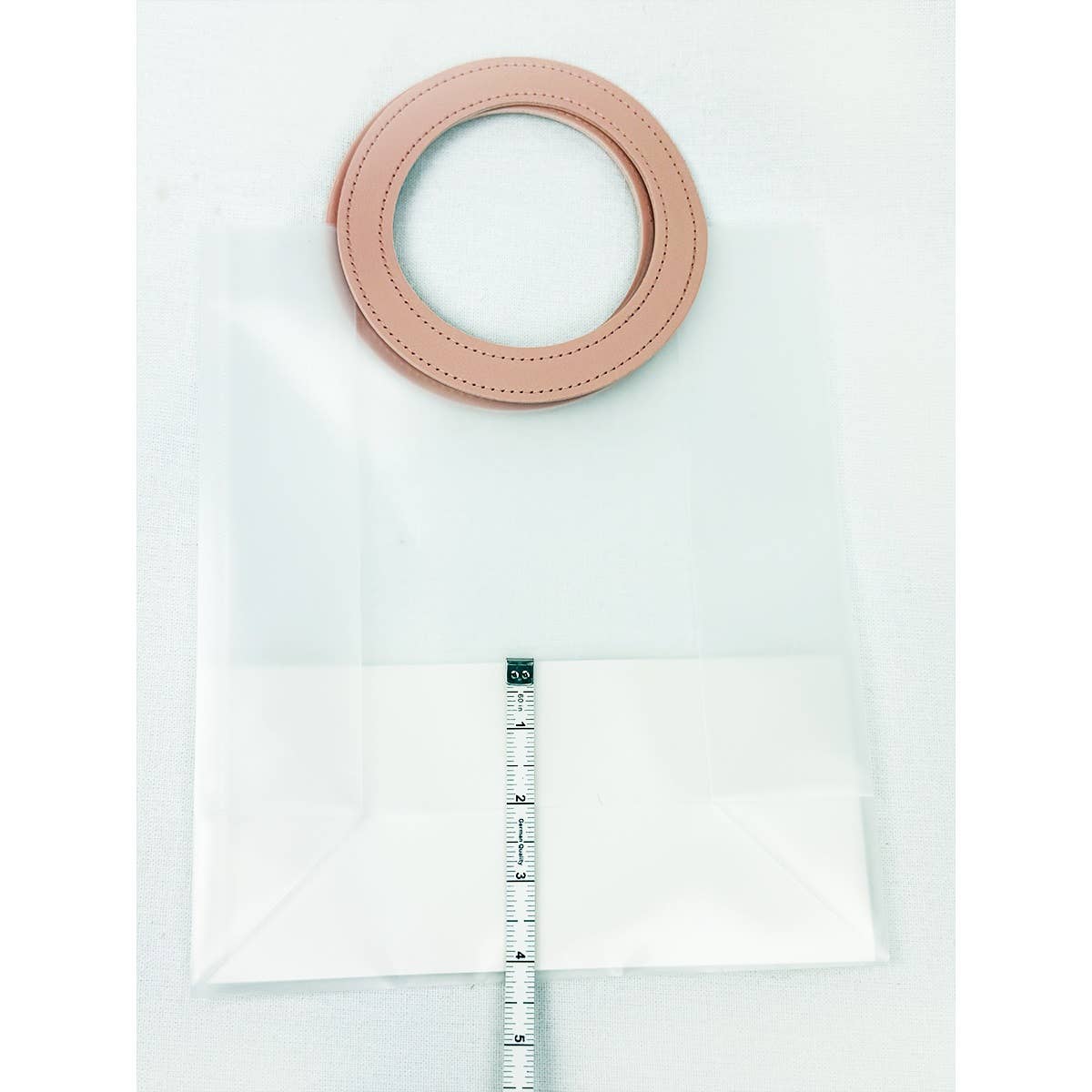 REUSABLE TRANSPARENT GIFT BAG - Winterberries