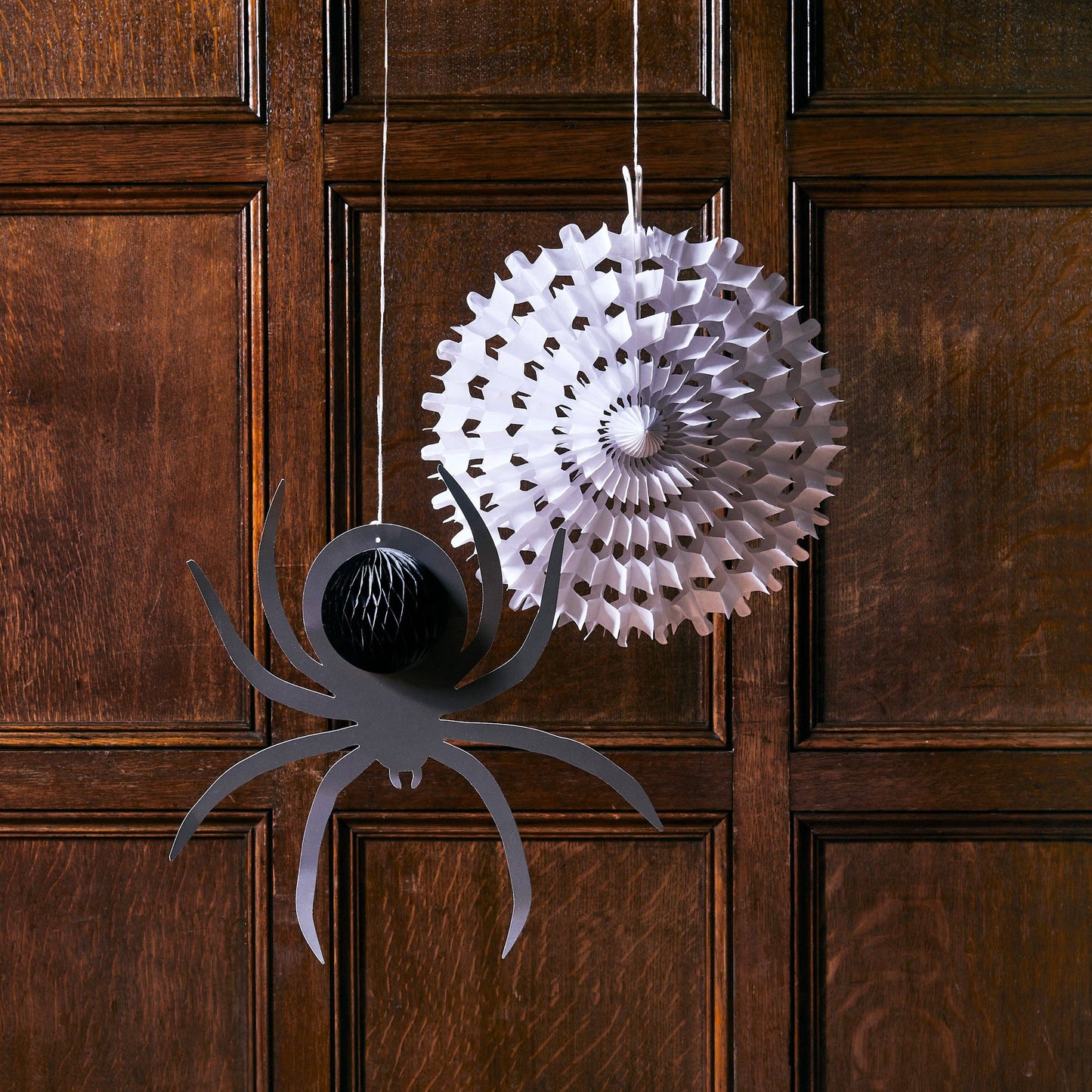 Spider Web & Spider Honeycomb 2 Pack - Winterberries