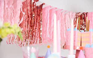Pretty in Pink Fringe Canopy Banners (Set of 2)
