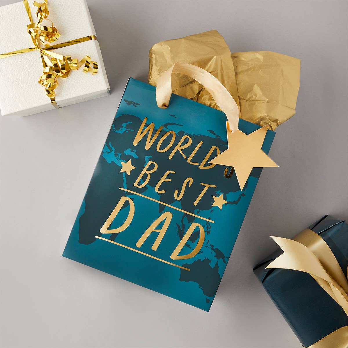 World's Best Dad Gift Bag 1 Pack - Winterberries