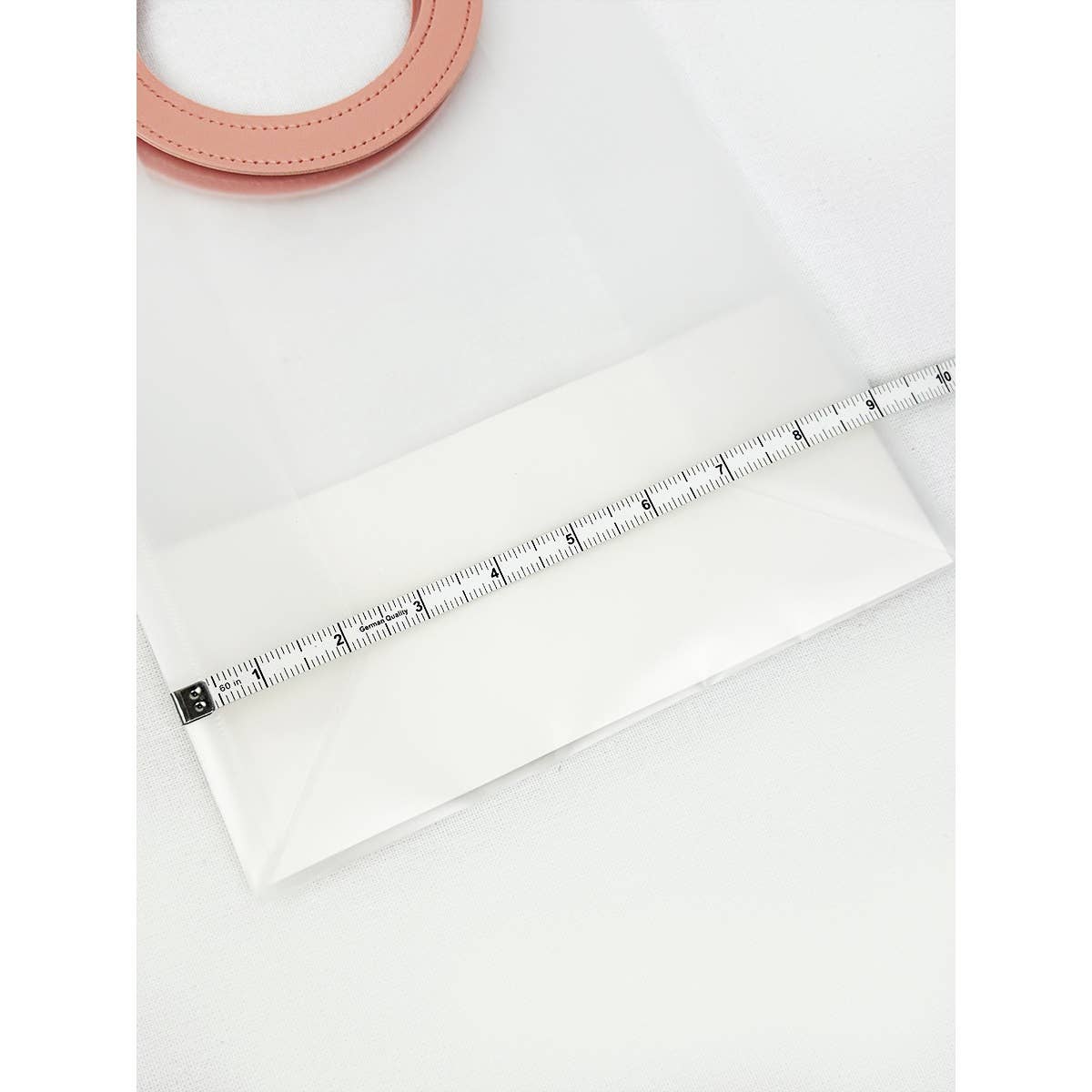 REUSABLE TRANSPARENT GIFT BAG - Winterberries