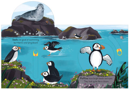 NATIONAL TRUST HARDCOVER BOOK