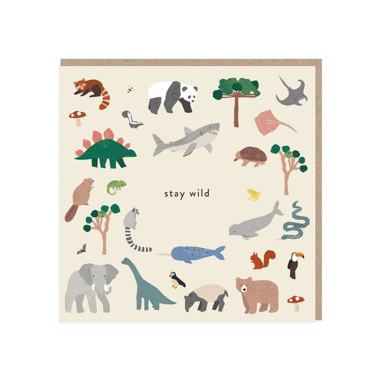 Safari Birthday Card - Winterberries