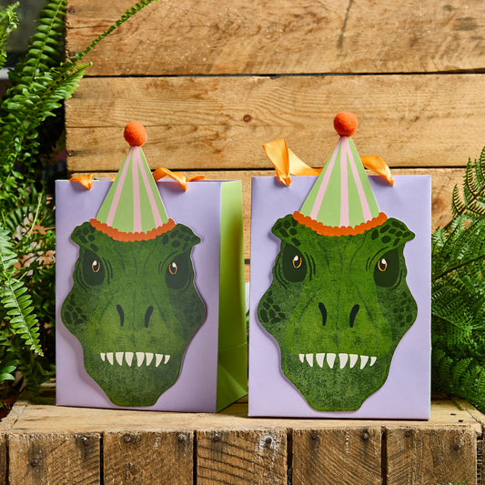 Dinosaur Party Bags - Pack of 5 - Winterberries