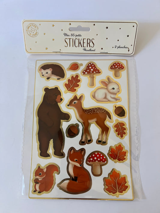 x35 Woodland Stickers - Winterberries