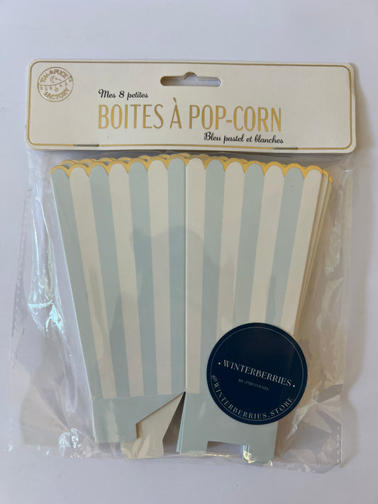 x8 Pastel Blue Boxes - Winterberries