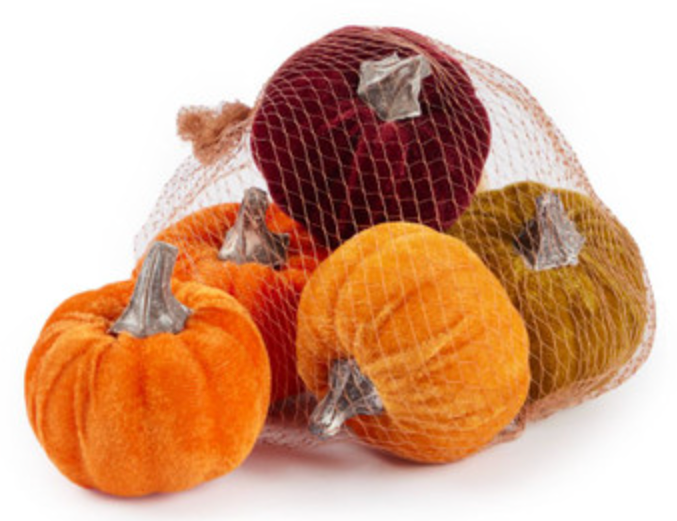 BAG OF 5 AUTUMN VELVET PUMPKINS - Winterberries