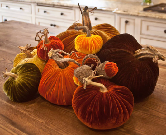 VARIOUS SIZE VELVET PUMPKIN DECORATION - Winterberries