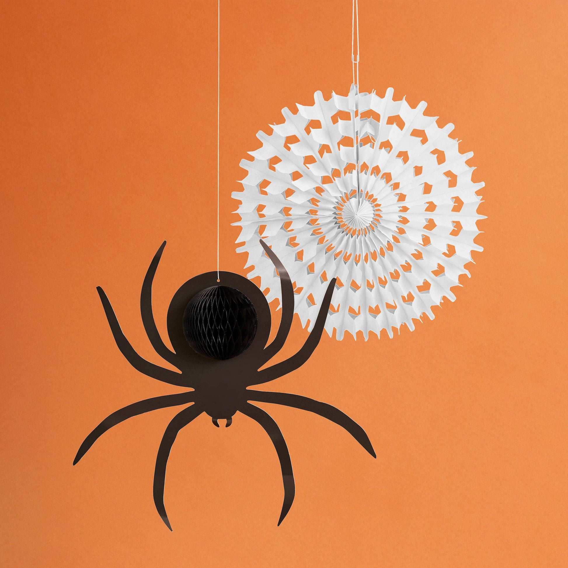 Spider Web & Spider Honeycomb 2 Pack - Winterberries