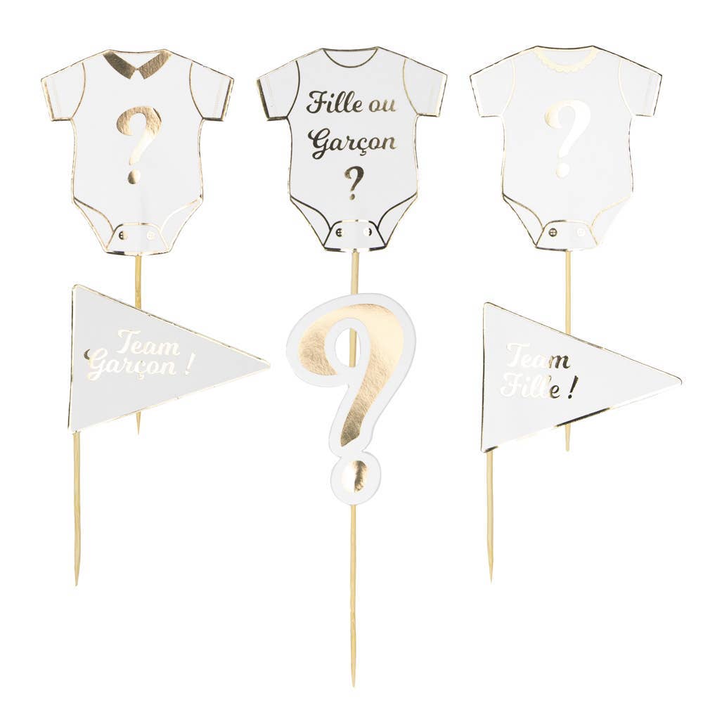 x6 GENDER REVEAL CAKE TOPPERS - Winterberries