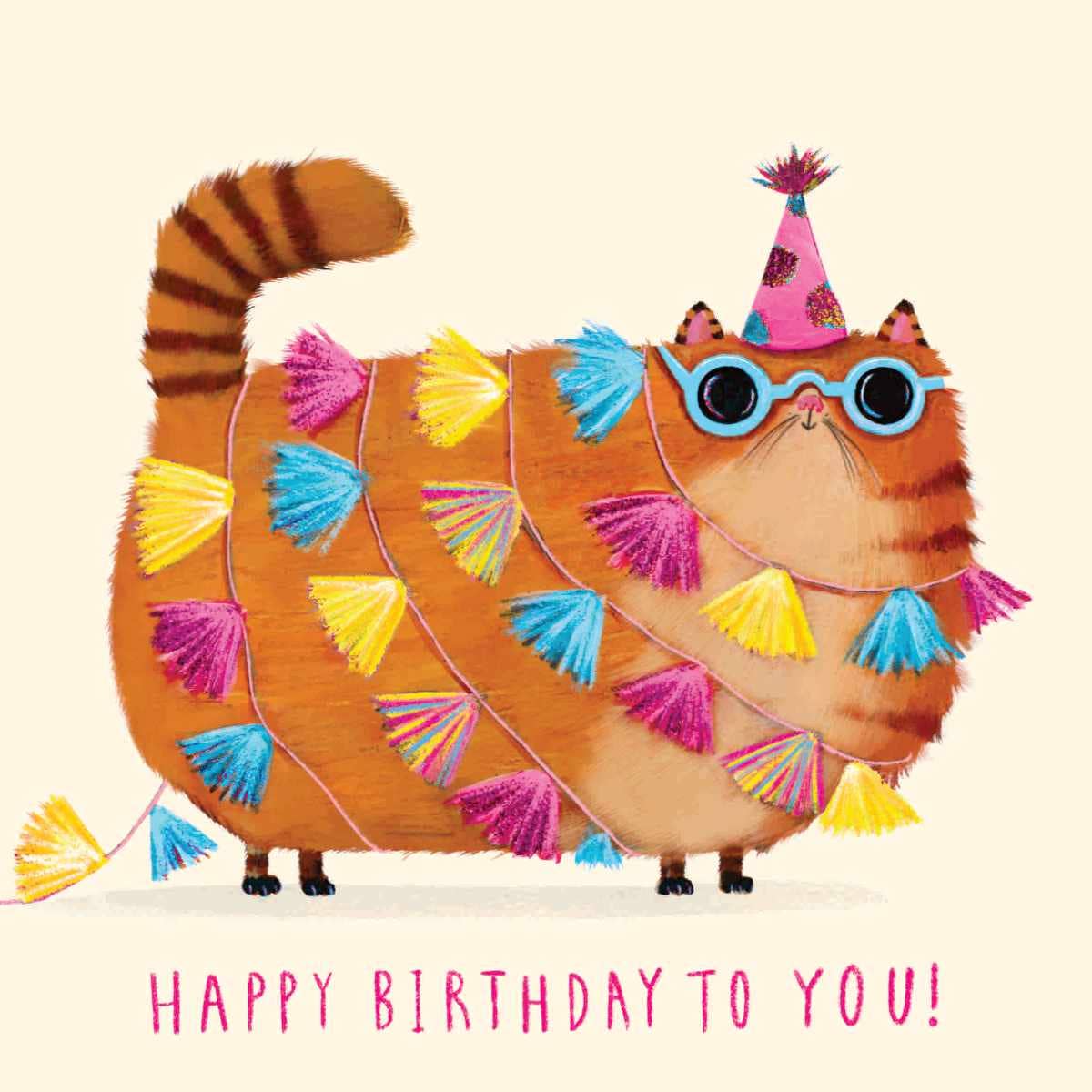 FUNNY CAT BIRTHDAY CAT - Winterberries