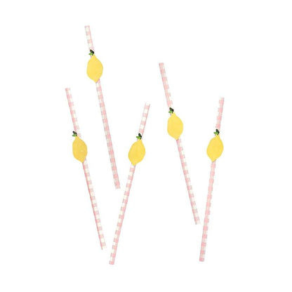 x20 Lemon & Gingham Straws - Winterberries