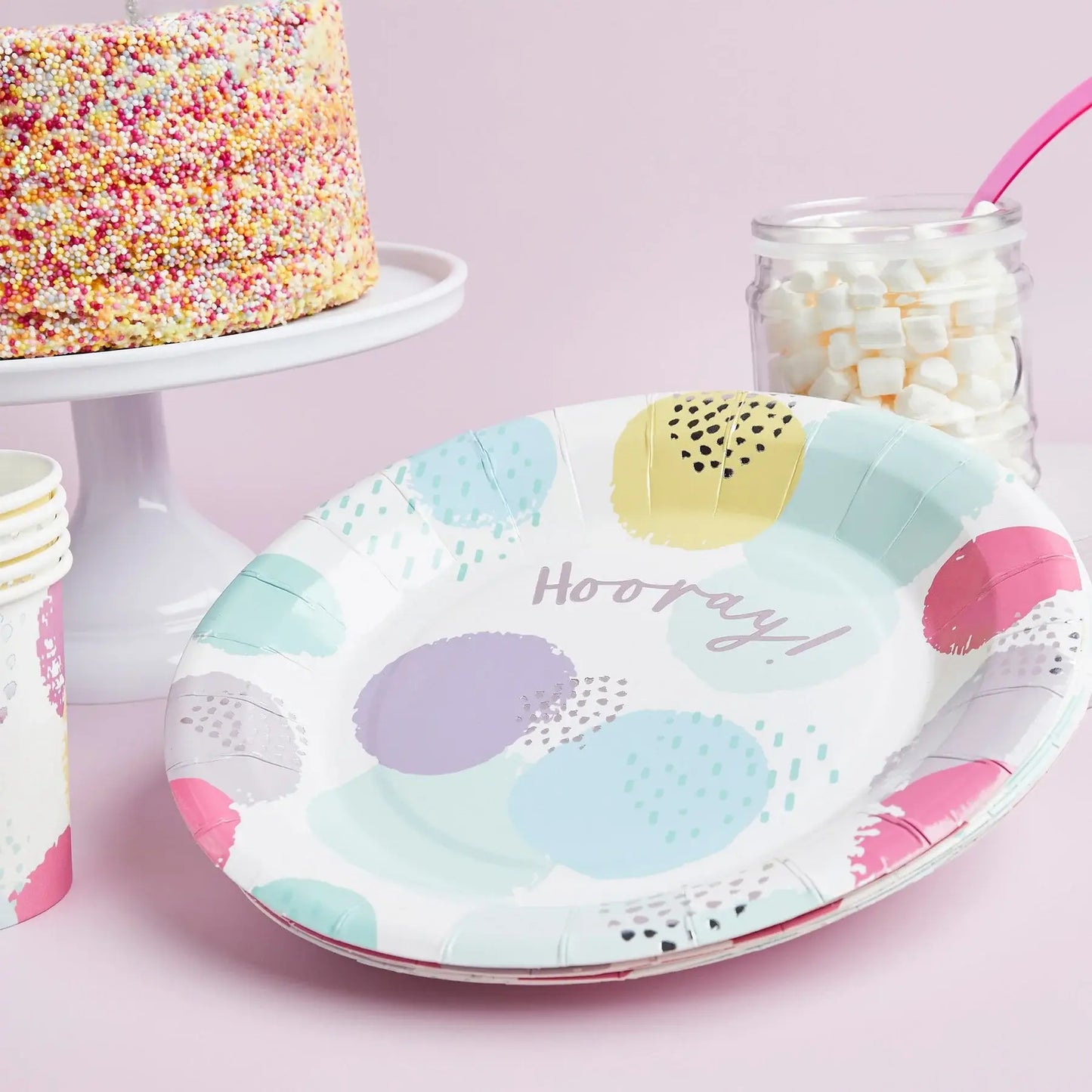 x10 PASTEL 'HOORAY' PAPER PLATES - Winterberries